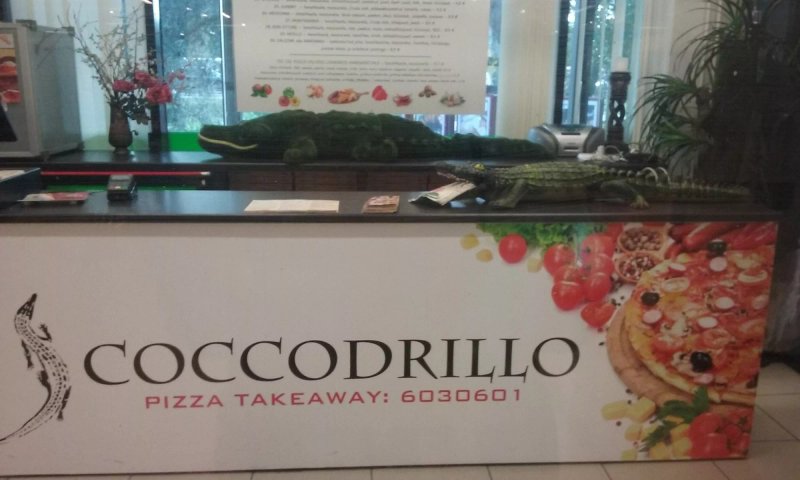 Coccodrillo pizza