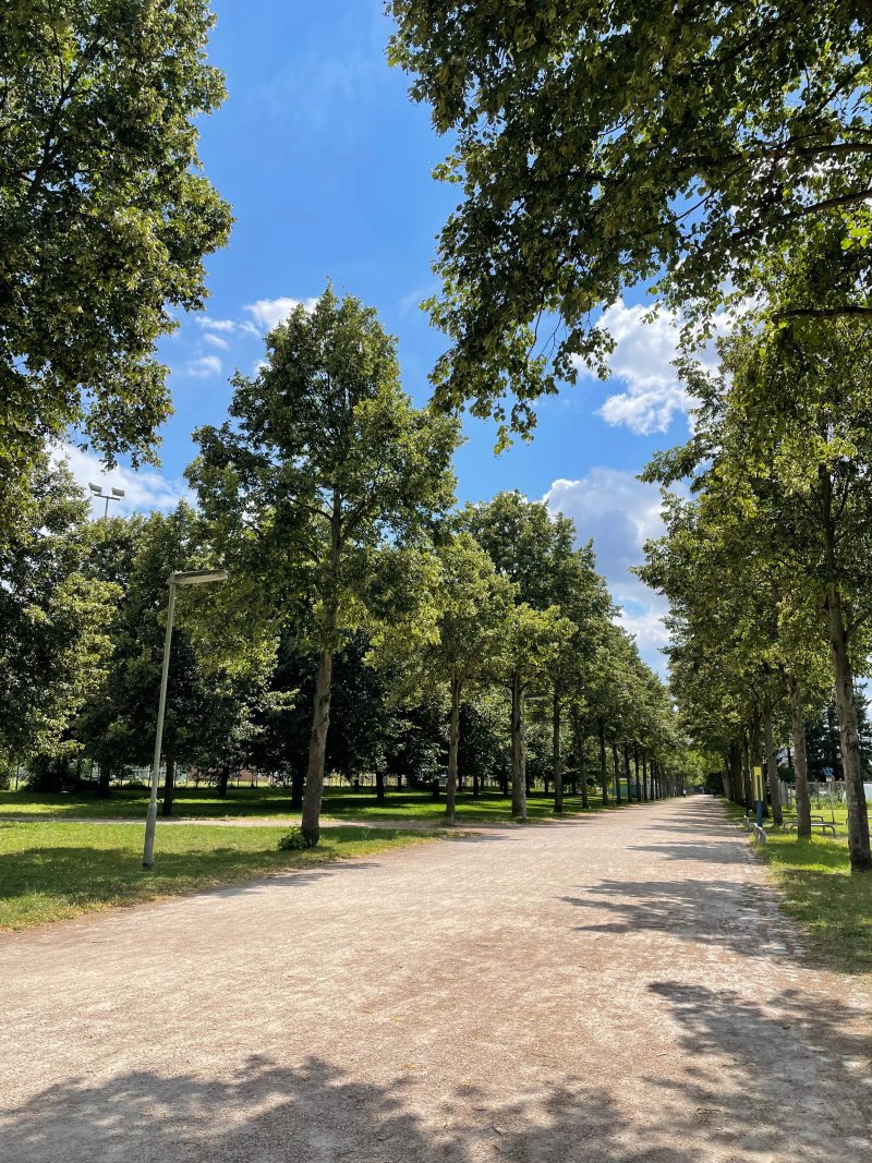 Volkspark Niddatal