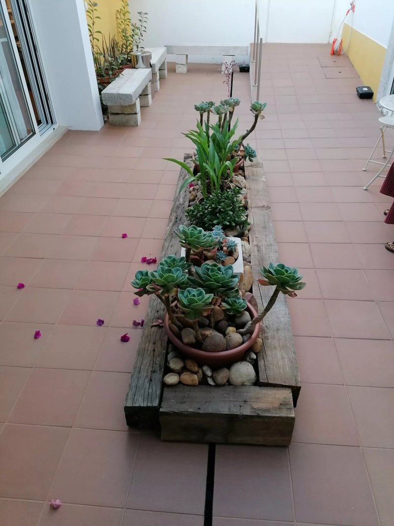 Sonetos do Tejo