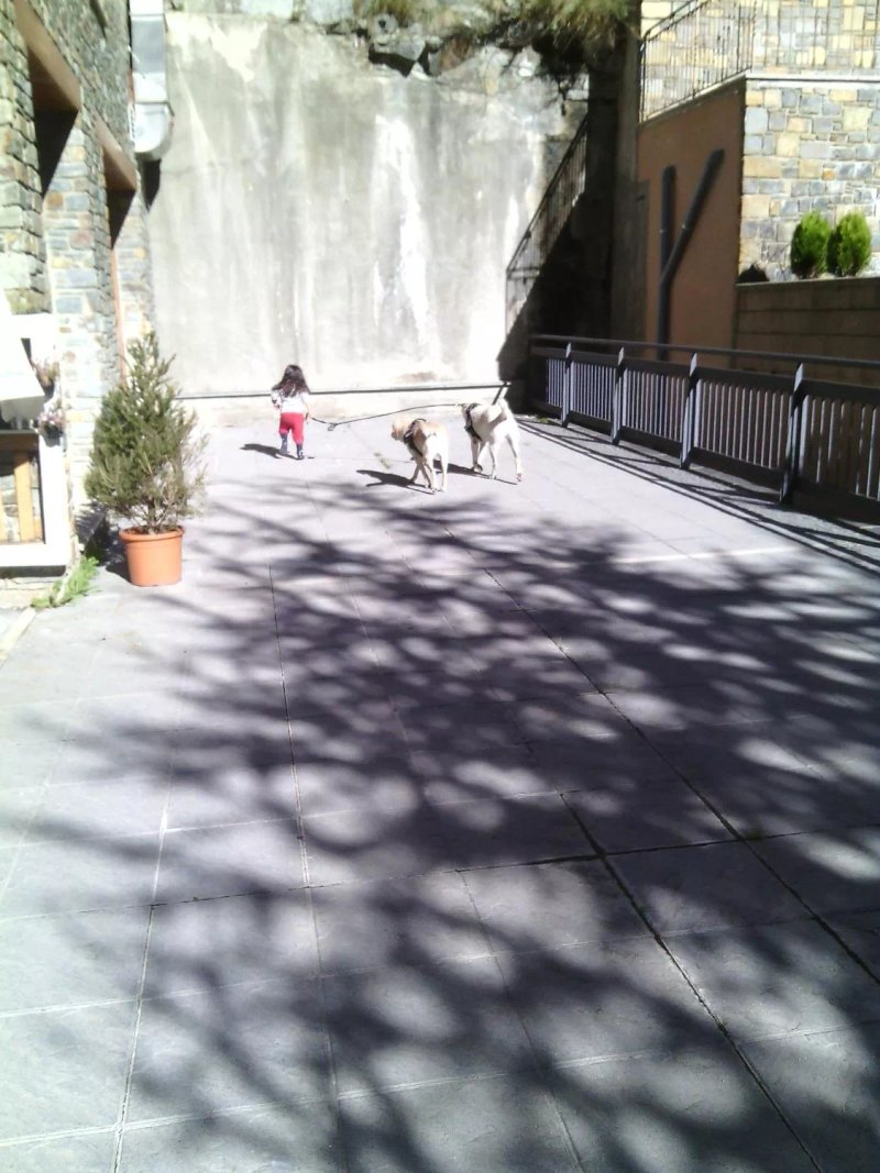 La Llum d'Oli