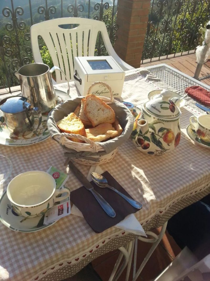 B&B Luisiana
