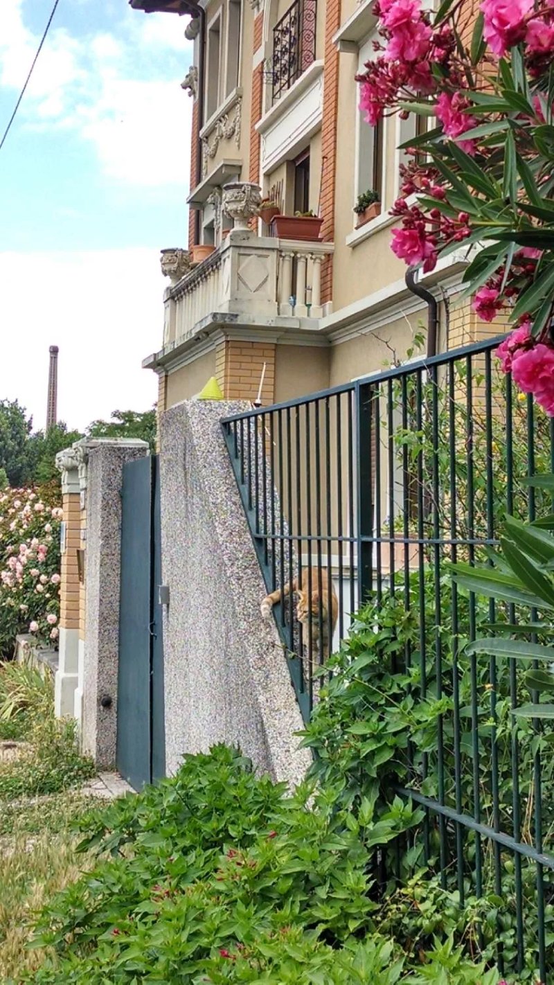 Casa Angela
