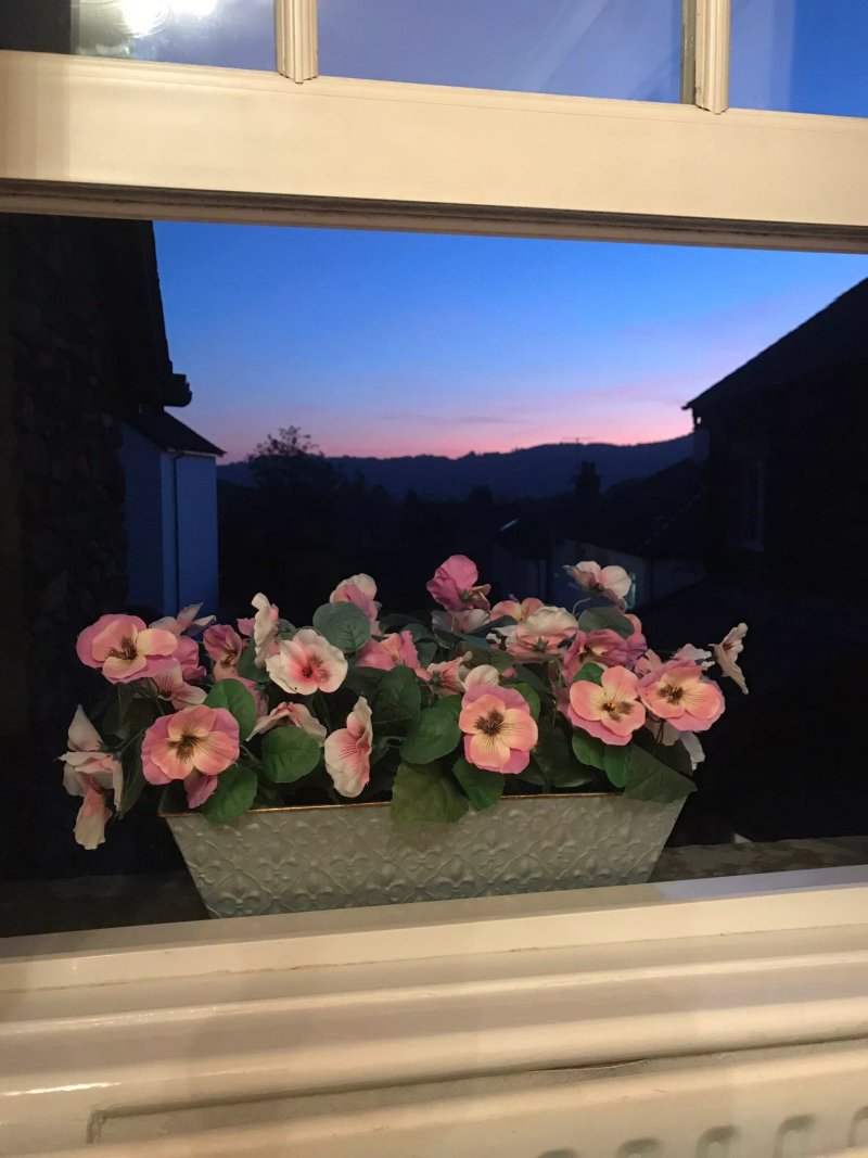 Montfort Cottage Guest House