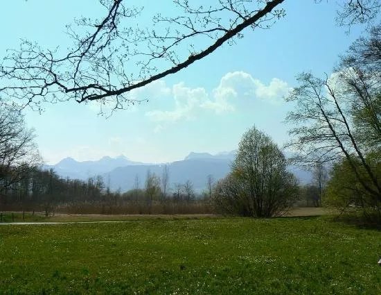 Der Steinweidenhof