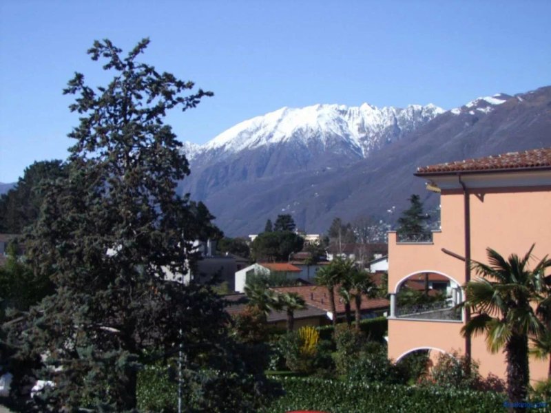 Casa Thuja