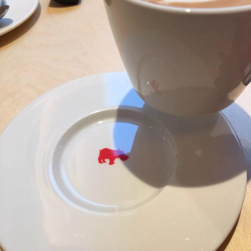 Kiss the Hippo Coffee