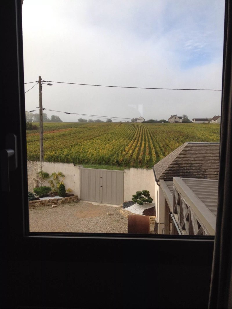 Domaine des Closeaux