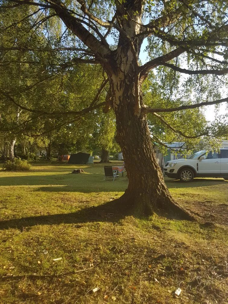 Denny Wood Campsite