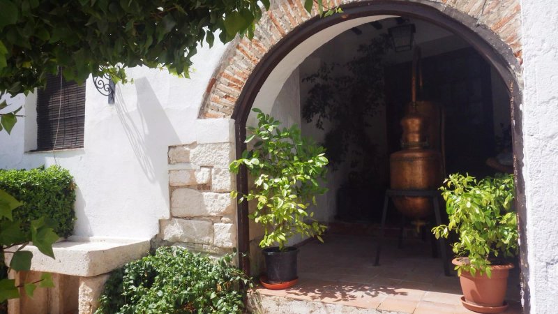 Meson Quinones Cuevas del Murcielago