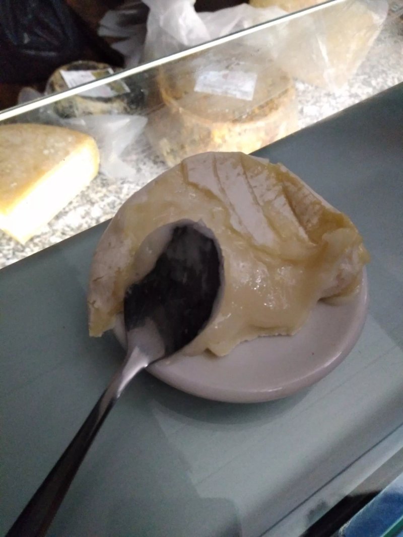 Gastronomica