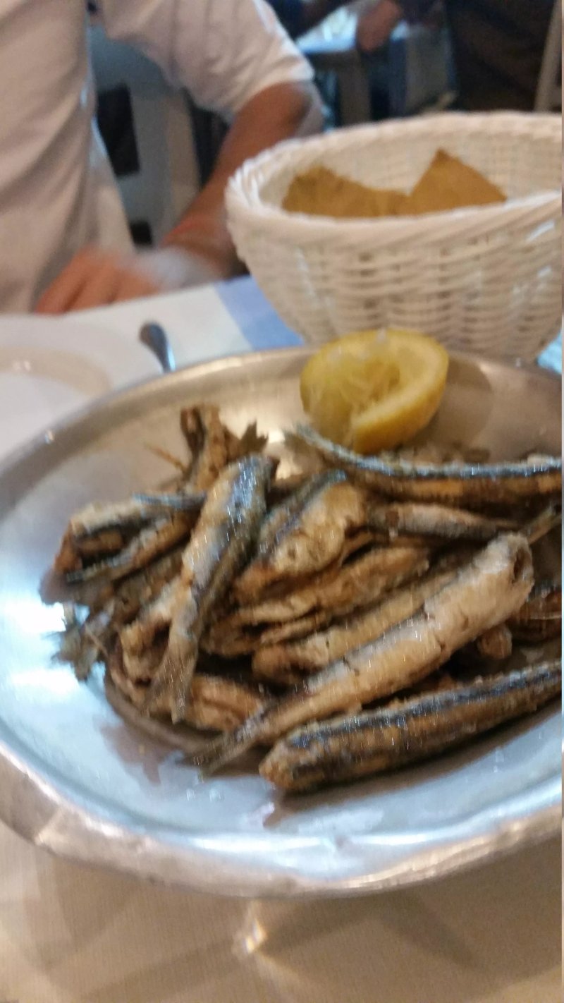 Fish Experience