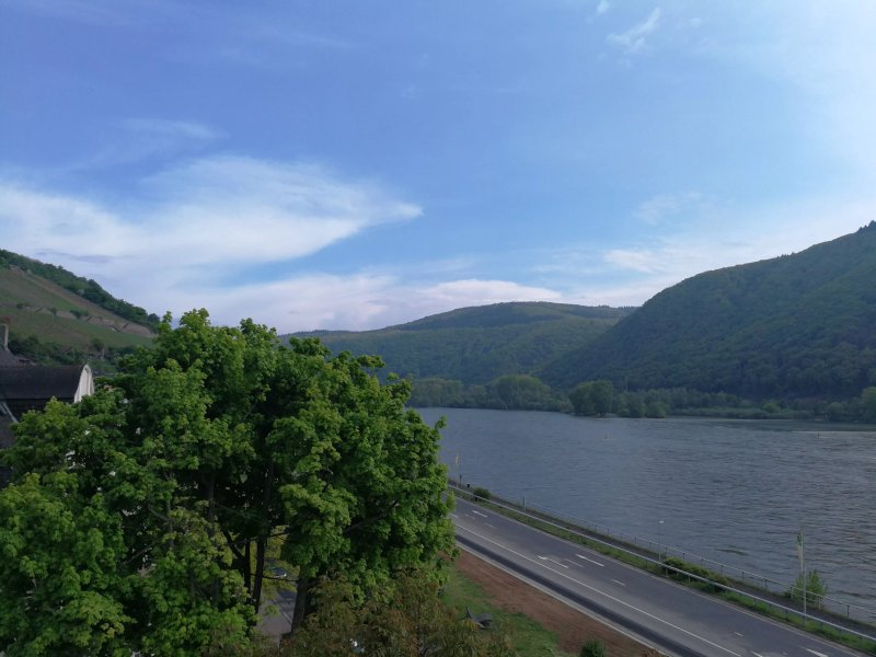 Rheinhotel Lamm