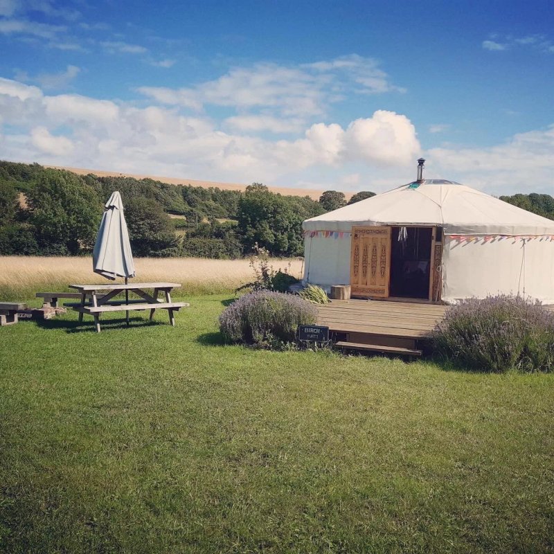 Green Valley Yurts and Cabin
