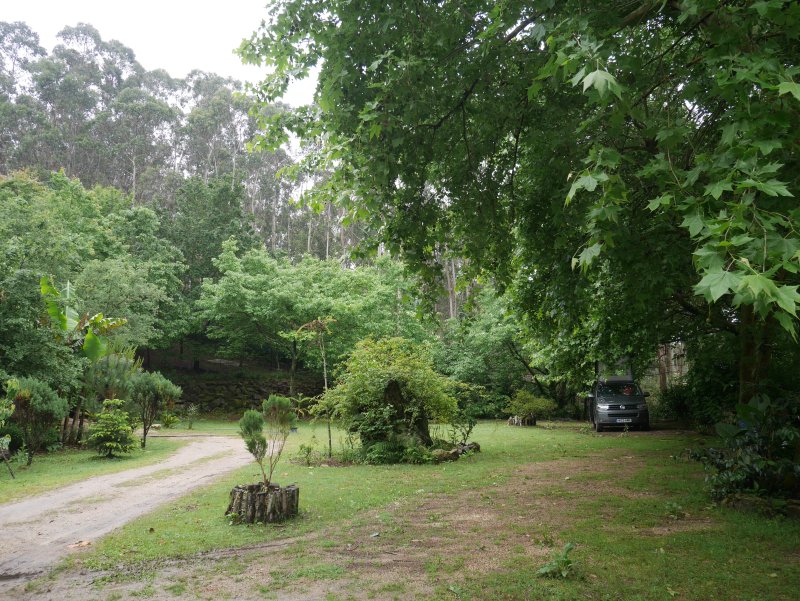 NaturViana
