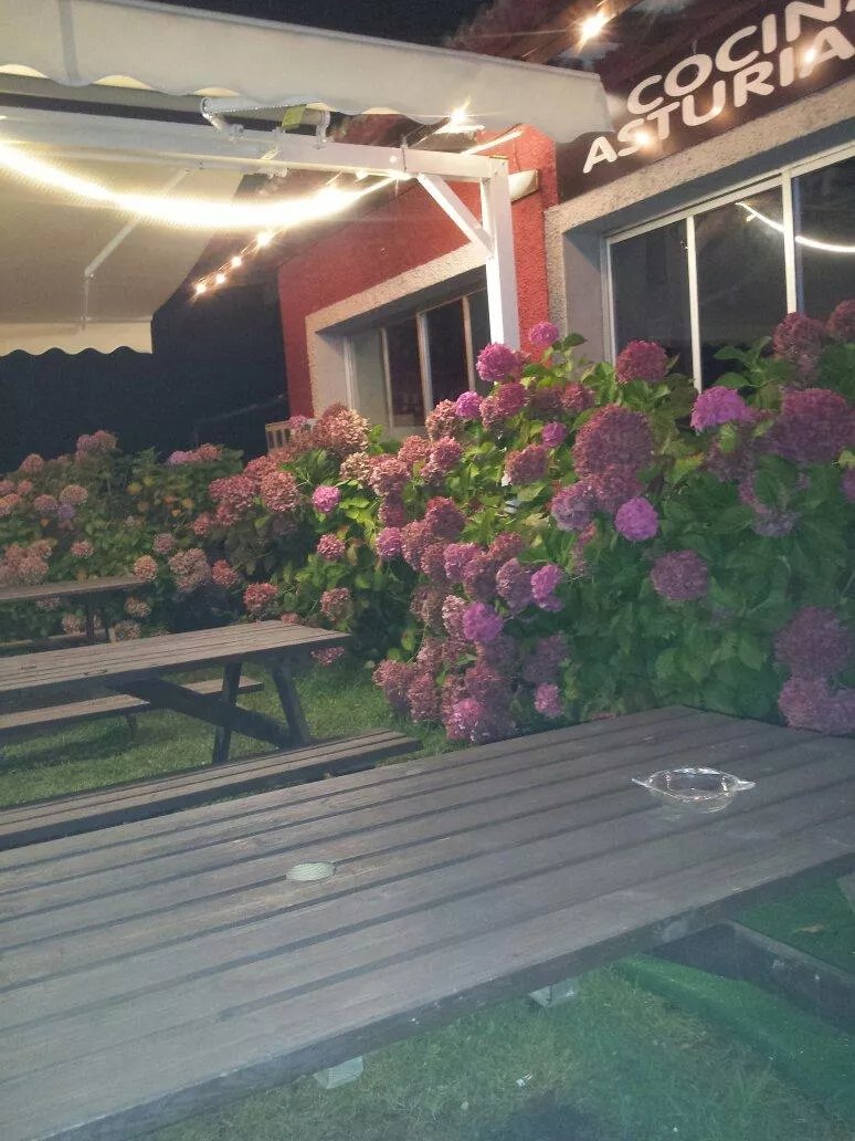 Restaurante Las Gaviotas