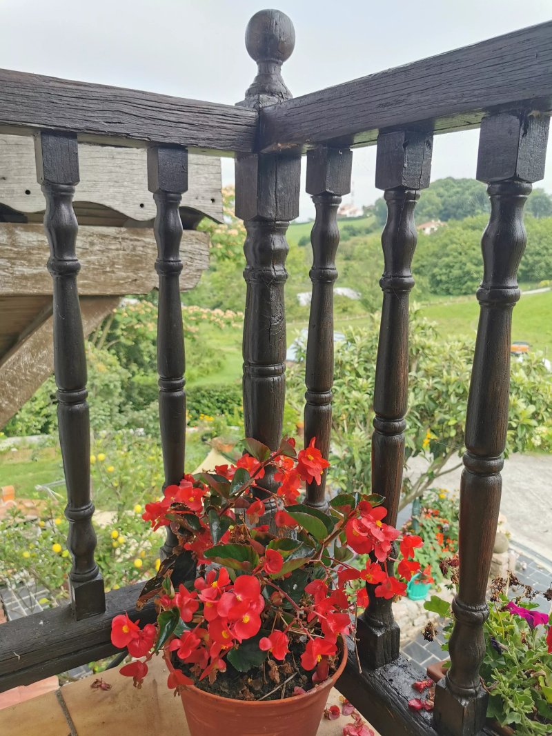 Casa Rural Iketxe
