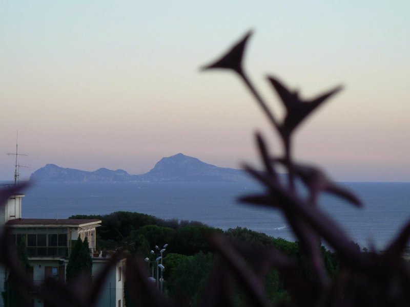 Villa Patrizia B&B