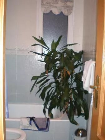 Hostal Isabella B&B