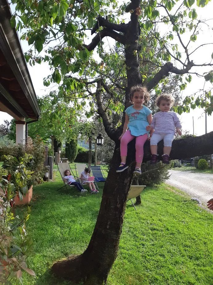 Agriturismo La Staccionata