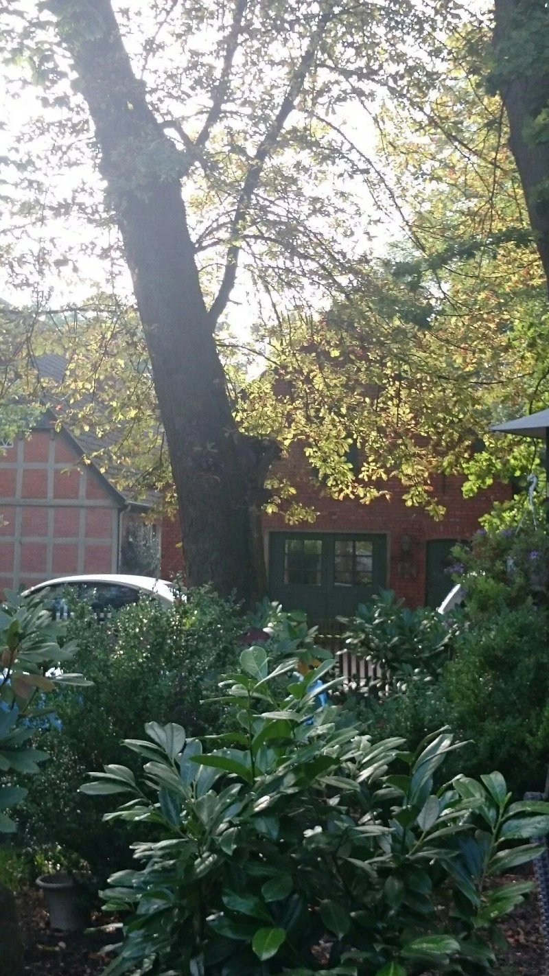 Puppencafe im Eichenhof