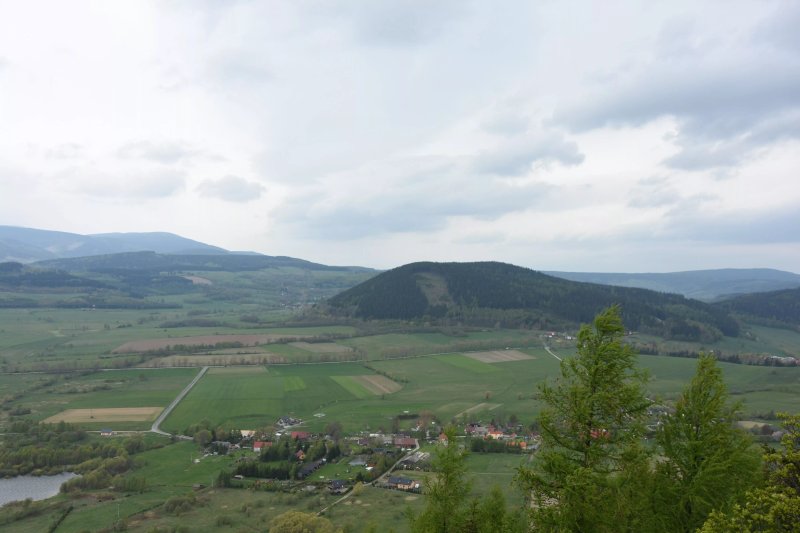 Zadzierna
