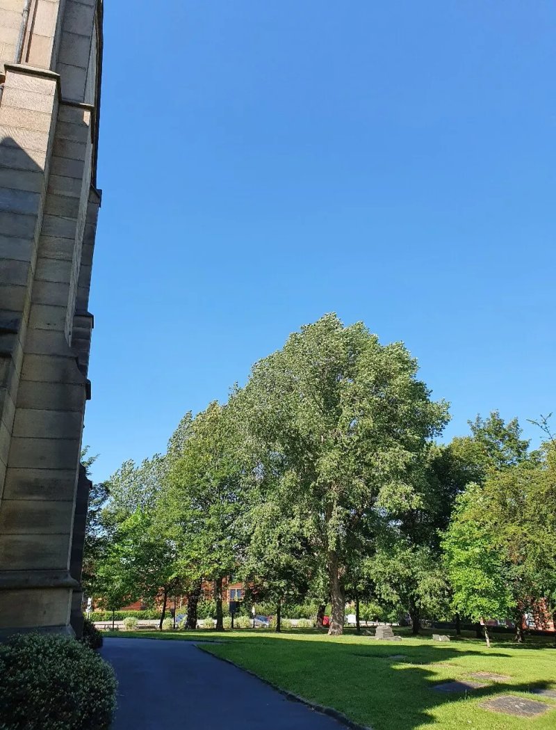 St George's Church Gardens