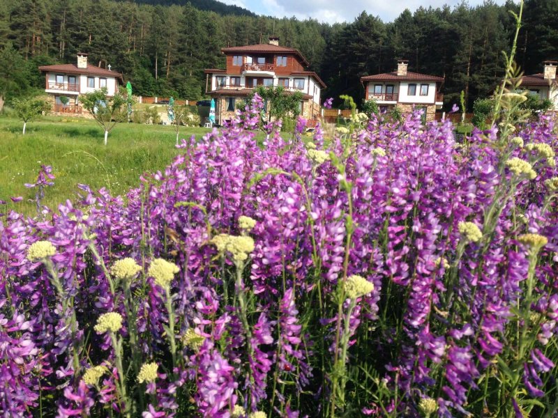 Eco Village Ruminika