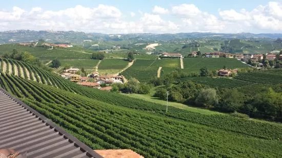 Azienda Agricola Elio Altare