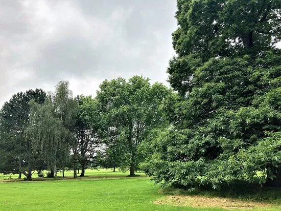 Madistone Age UK Dementia Walk