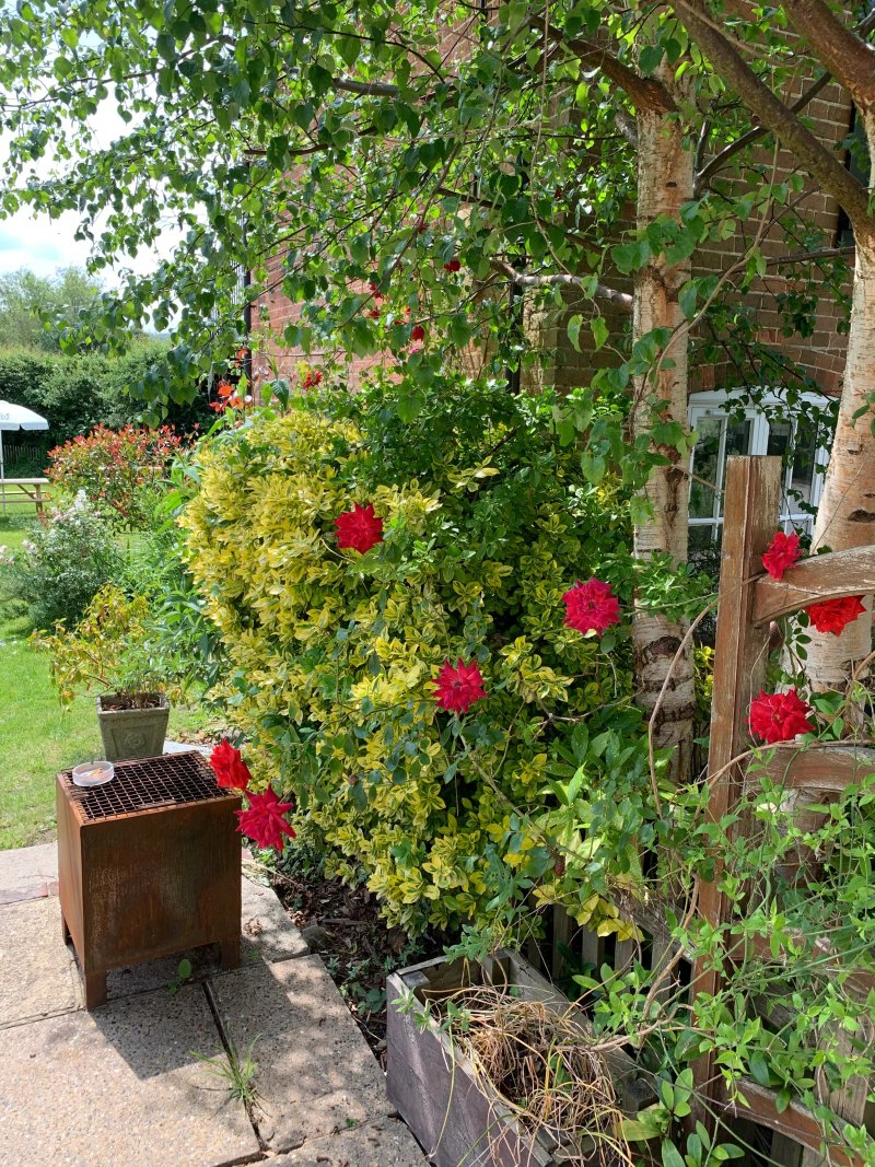 The Elsted Inn