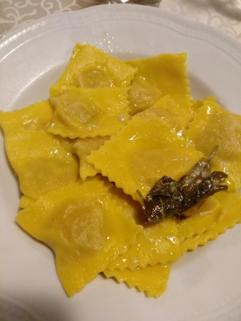 Agriturismo Fenilnovo