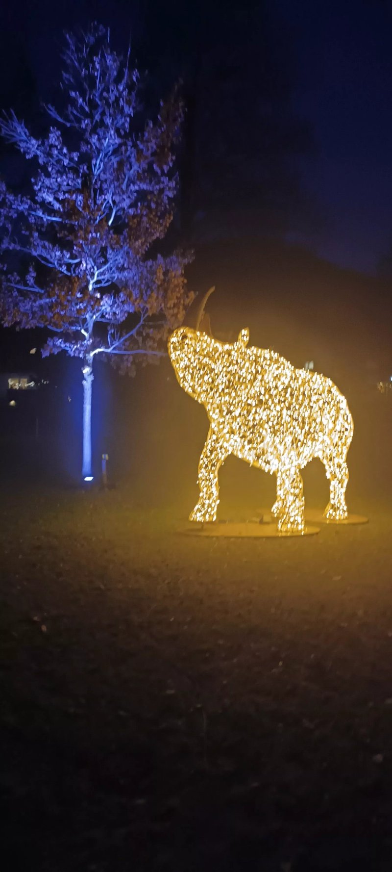 Wienter Im Park-winterzauber In Garmisch Partenkirchen