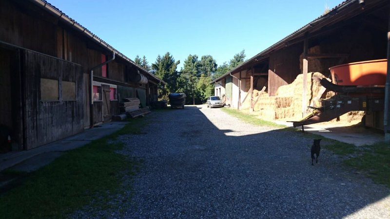 Steigmatt Schlaf im Stroh