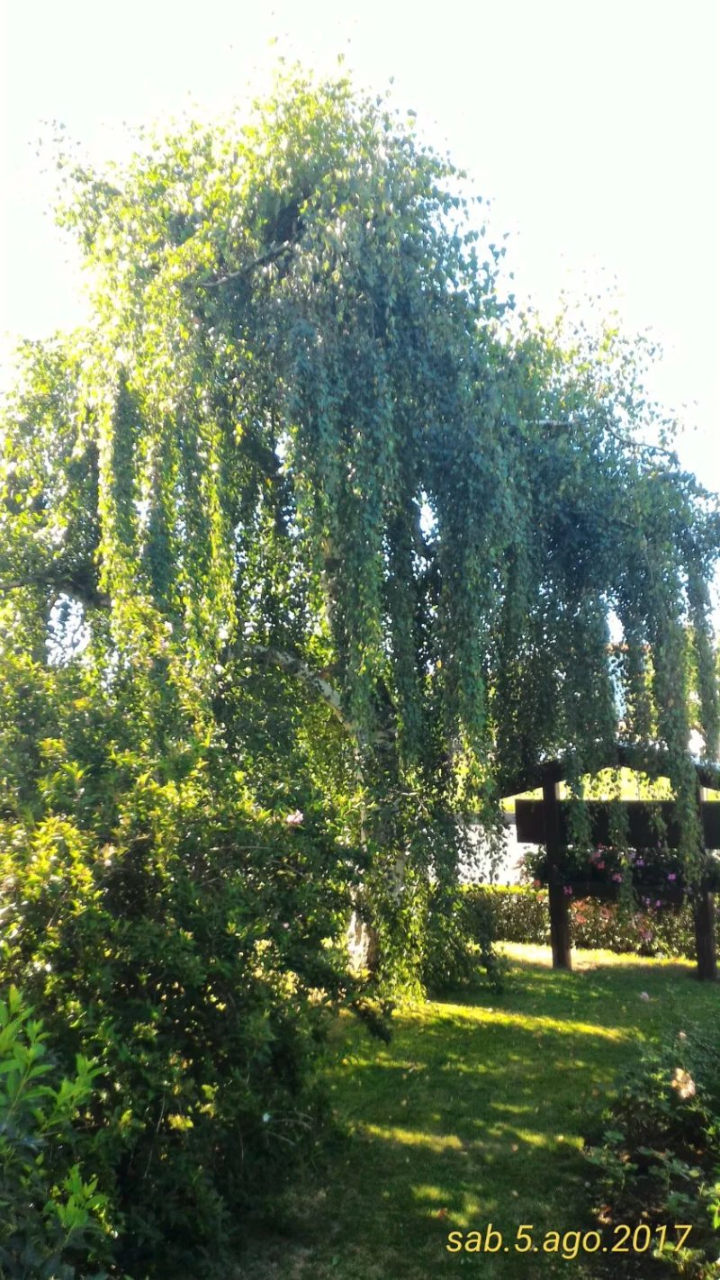 Pension Ruhland