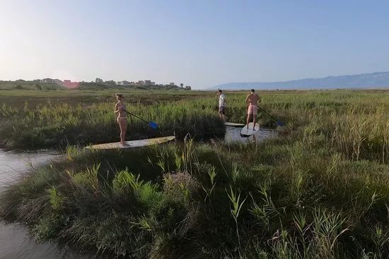 Stand Up Paddleboarding (SUP) Nin  - school, rental & tours