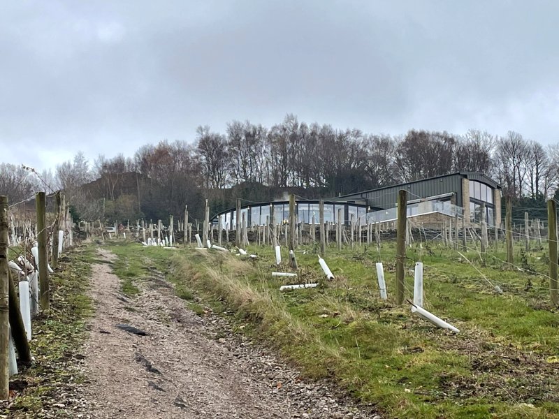 Holmfirth Vineyard
