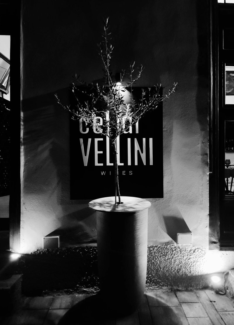 Cellar Vellini