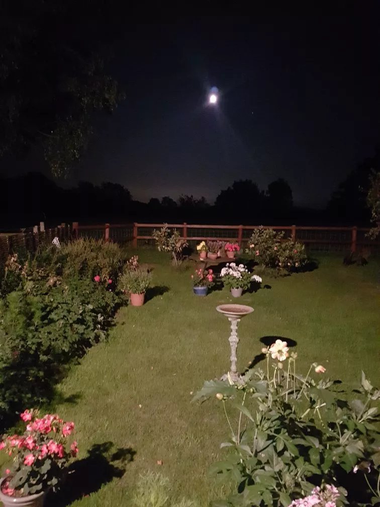 Yew Tree Farm