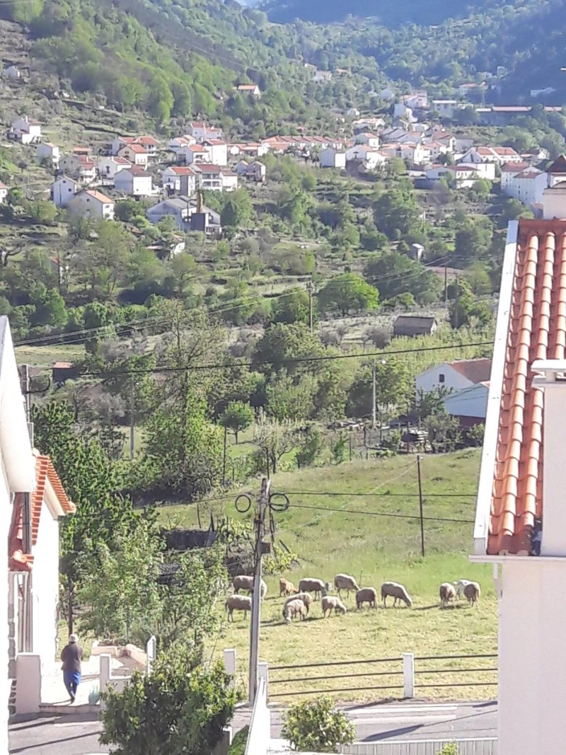 Descanso Serrano