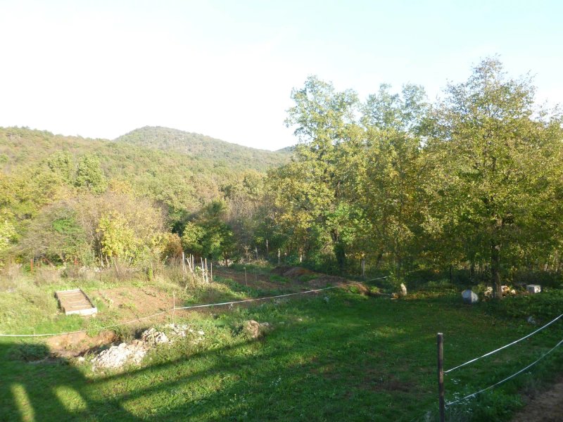 Burja B&B