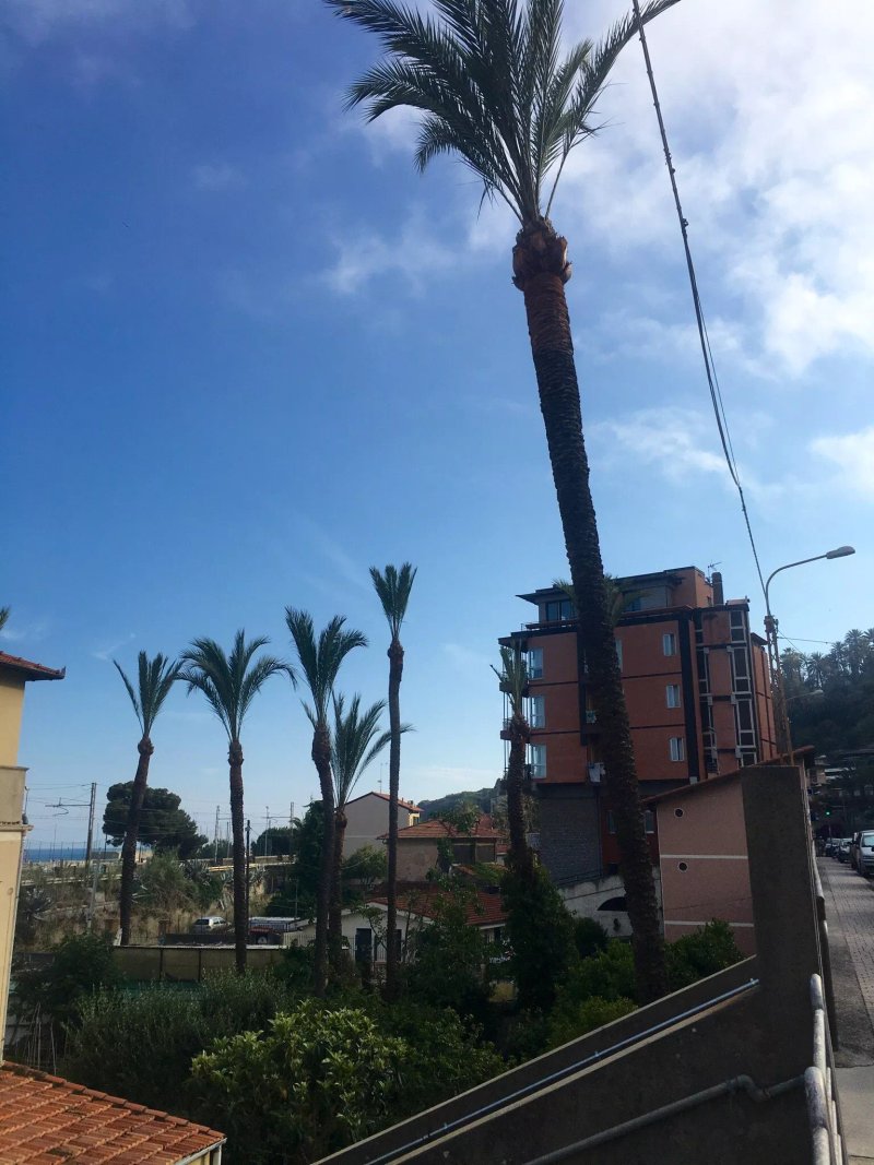 Residence dei Fiori