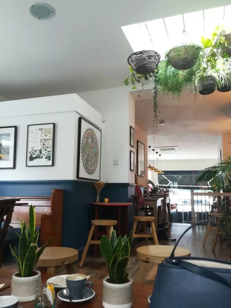 Swallow Coffee Shop