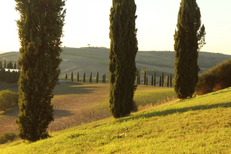 Agriturismo Baccoleno