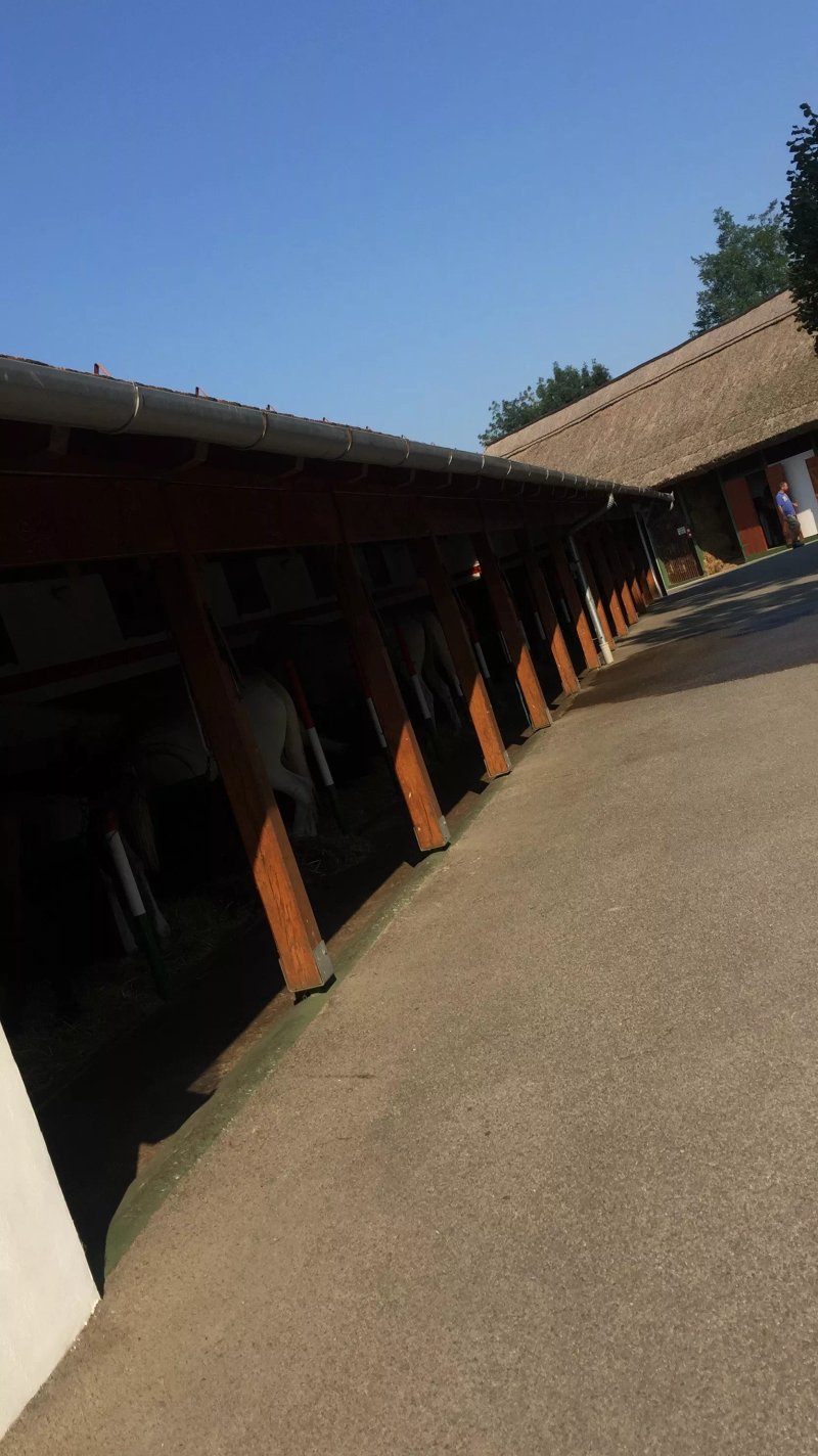 Radpuszta Pension and Leisure Center