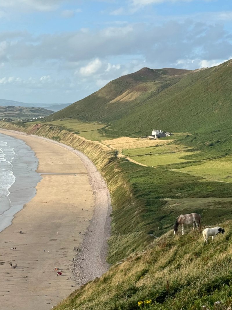 The Worms Head Hotel Swansea