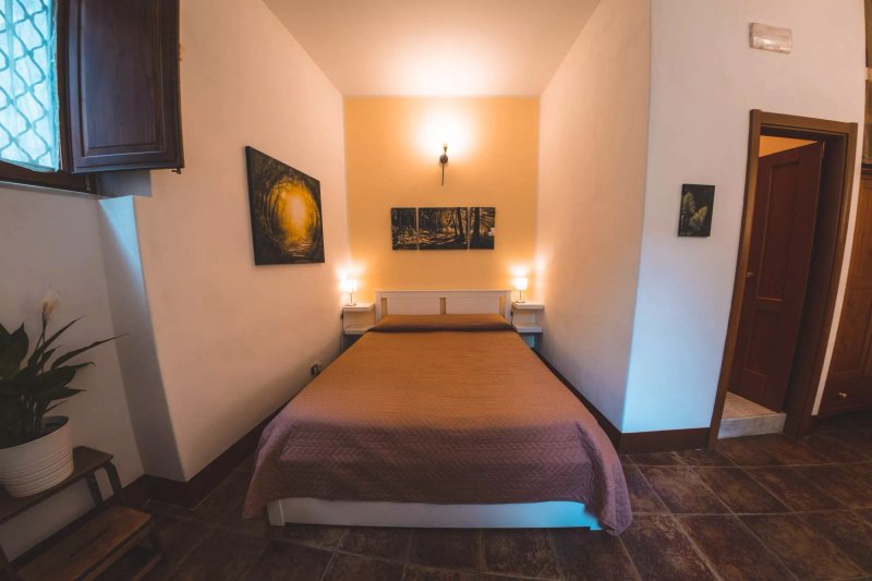 Cataneasy Rooms