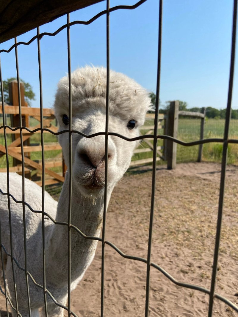 In de Hei