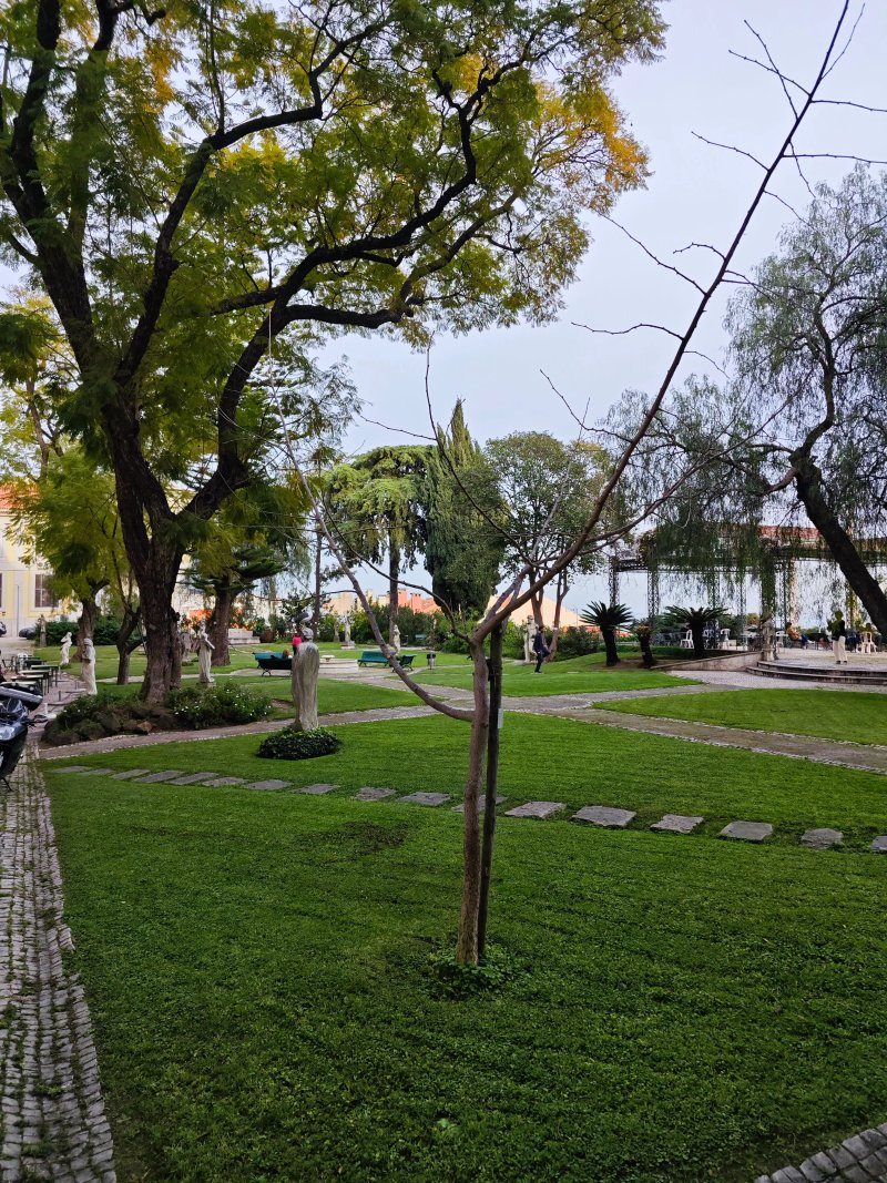Restaurant Museu Nacional de Arte Antiga