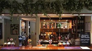 The Swan with Two Nicks