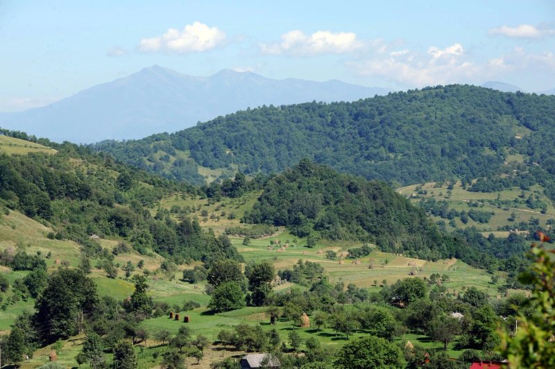 Pensiunea La Casa Maramureseana